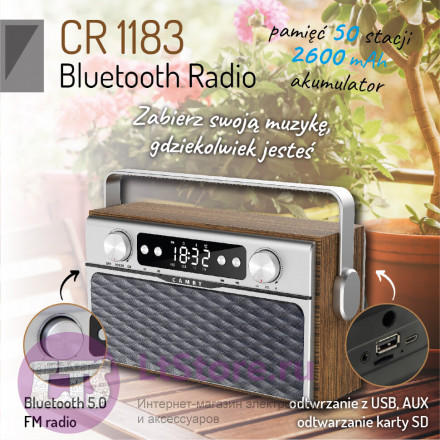 Радиоприемник Camry CR1183